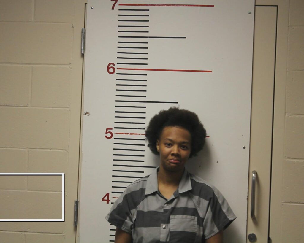 WILLIS, JASANAE MARSHAE arrested in Anderson County, Texas mugshot