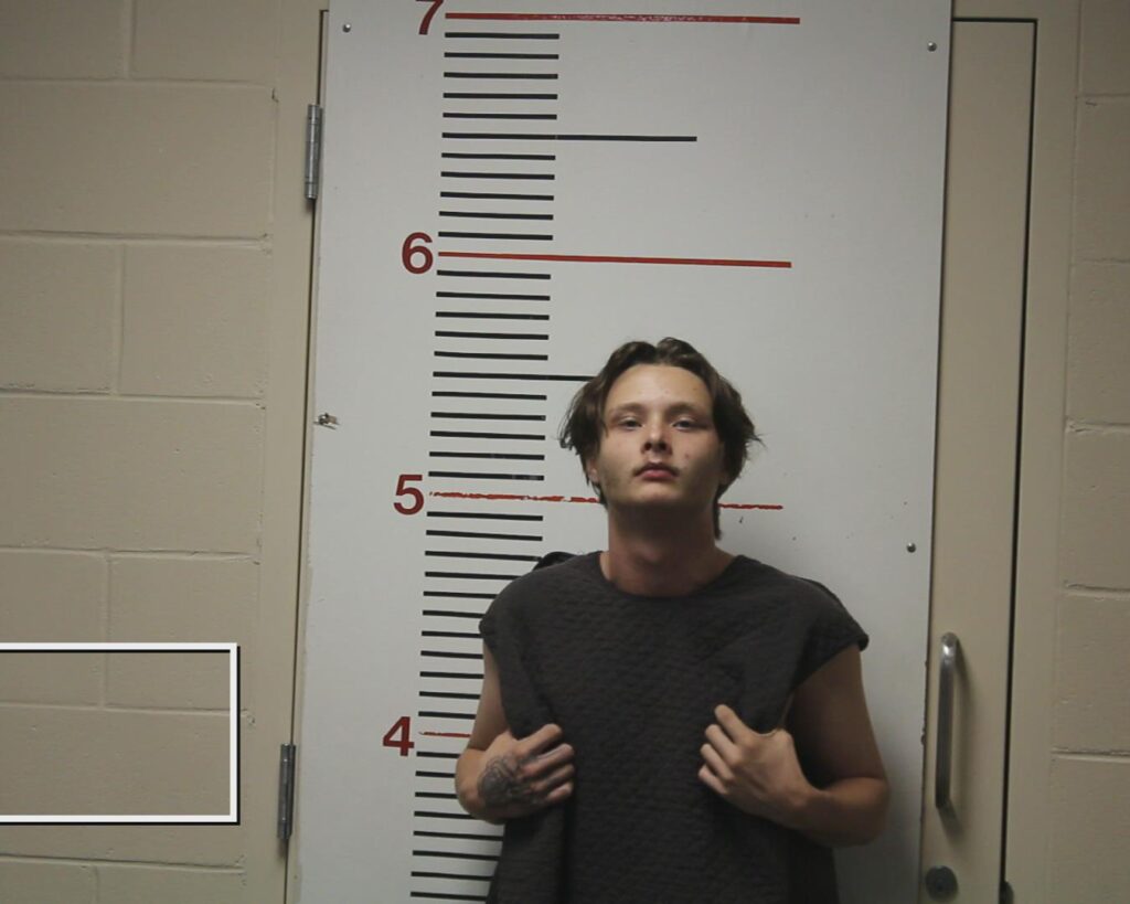 BARNES, GABRIEL ADAM arrested in Anderson County, Texas mugshot