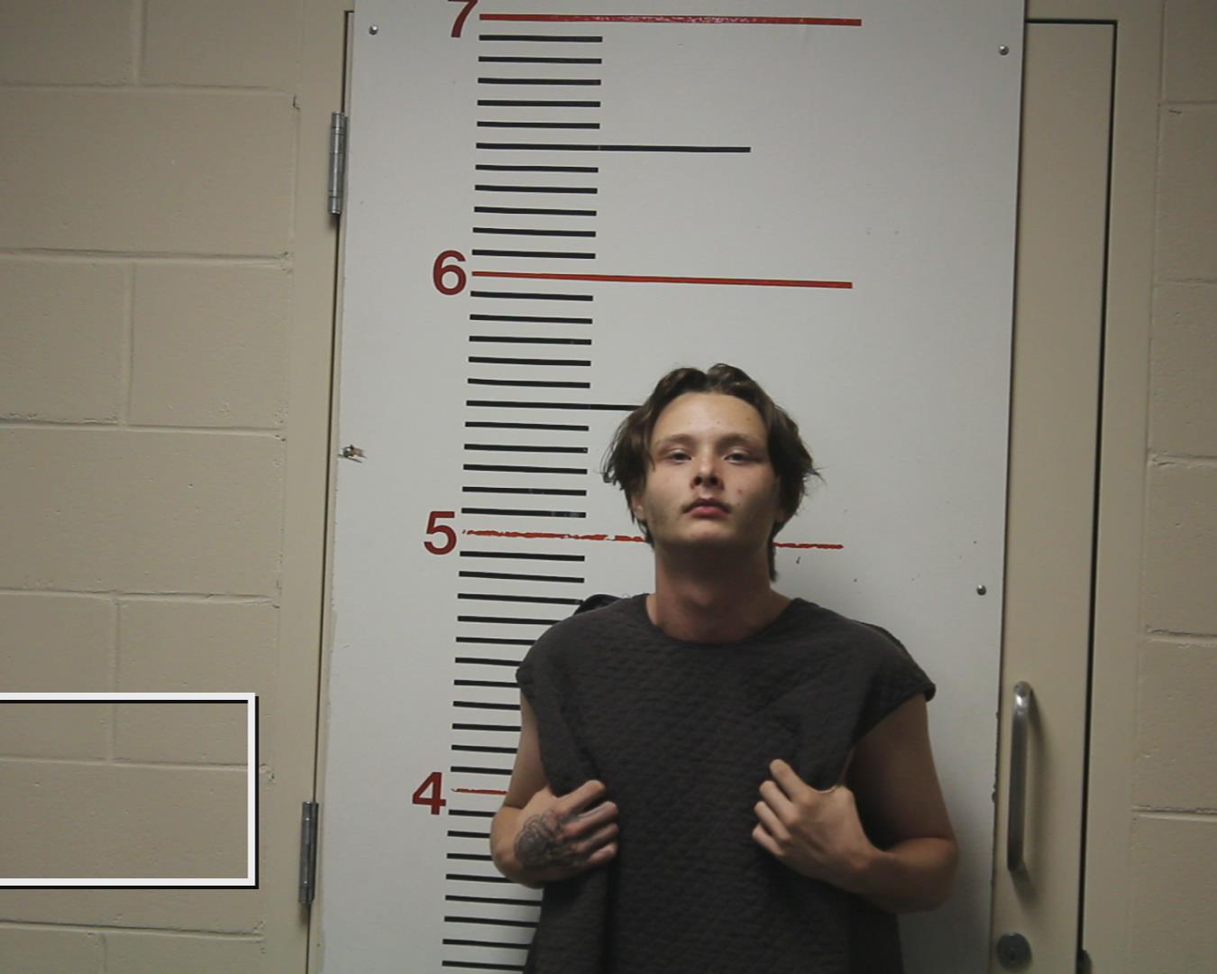 BARNES, GABRIEL ADAM booking photo