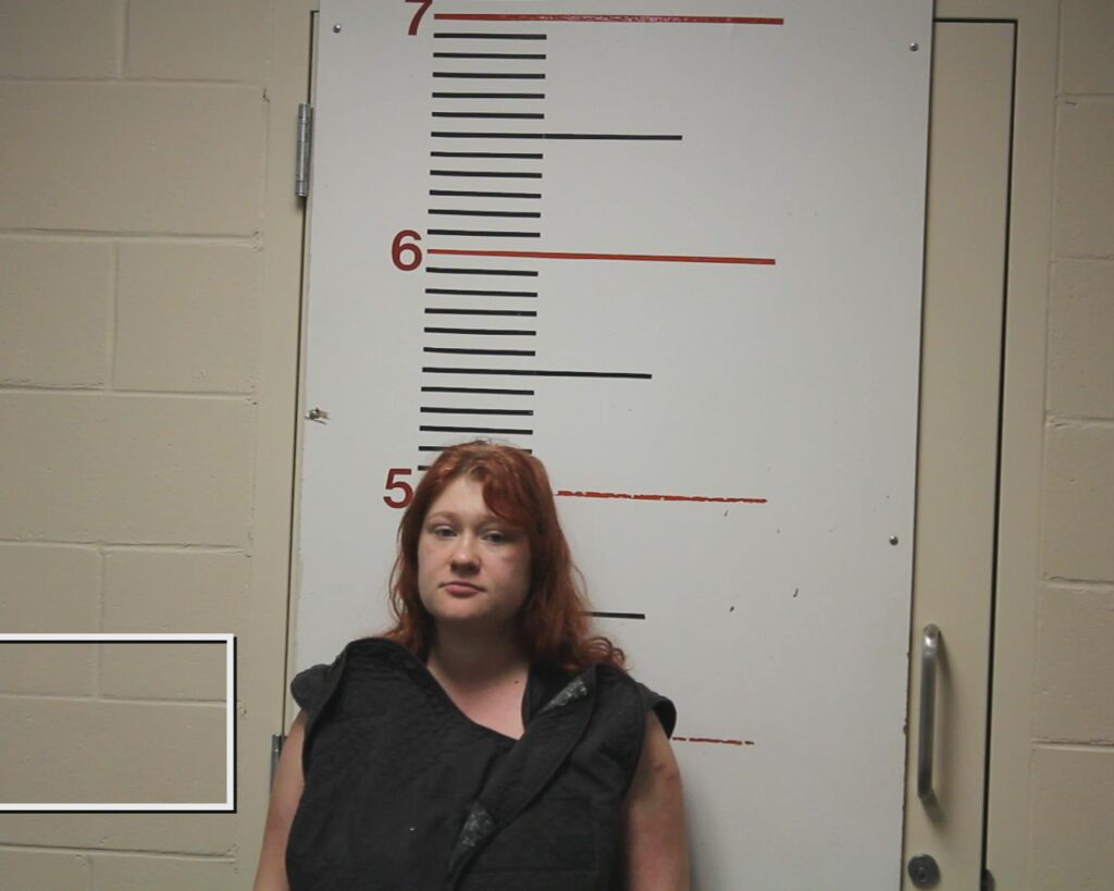 ATWELL, ALYSSA MARIE arrested in Anderson County, Texas mugshot
