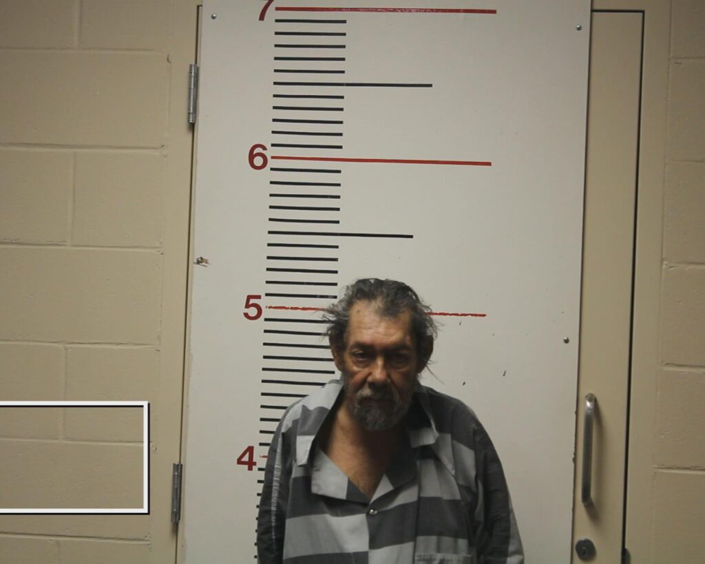 GONZALES, ISMAEL, Jr. arrested in Anderson County, Texas mugshot