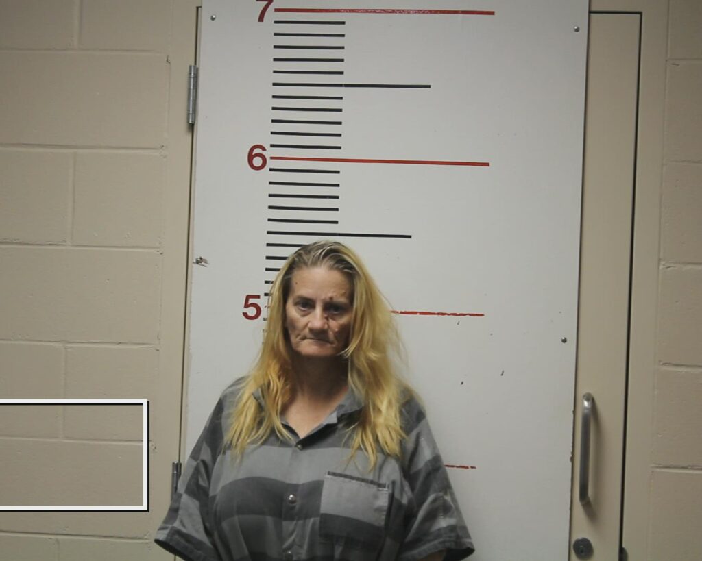 VAUGHAN, CRYSTAL DEANNE arrest record in Anderson County, Texas VAUGHAN, CRYSTAL DEANNE arrested in Anderson County, Texas mugshot