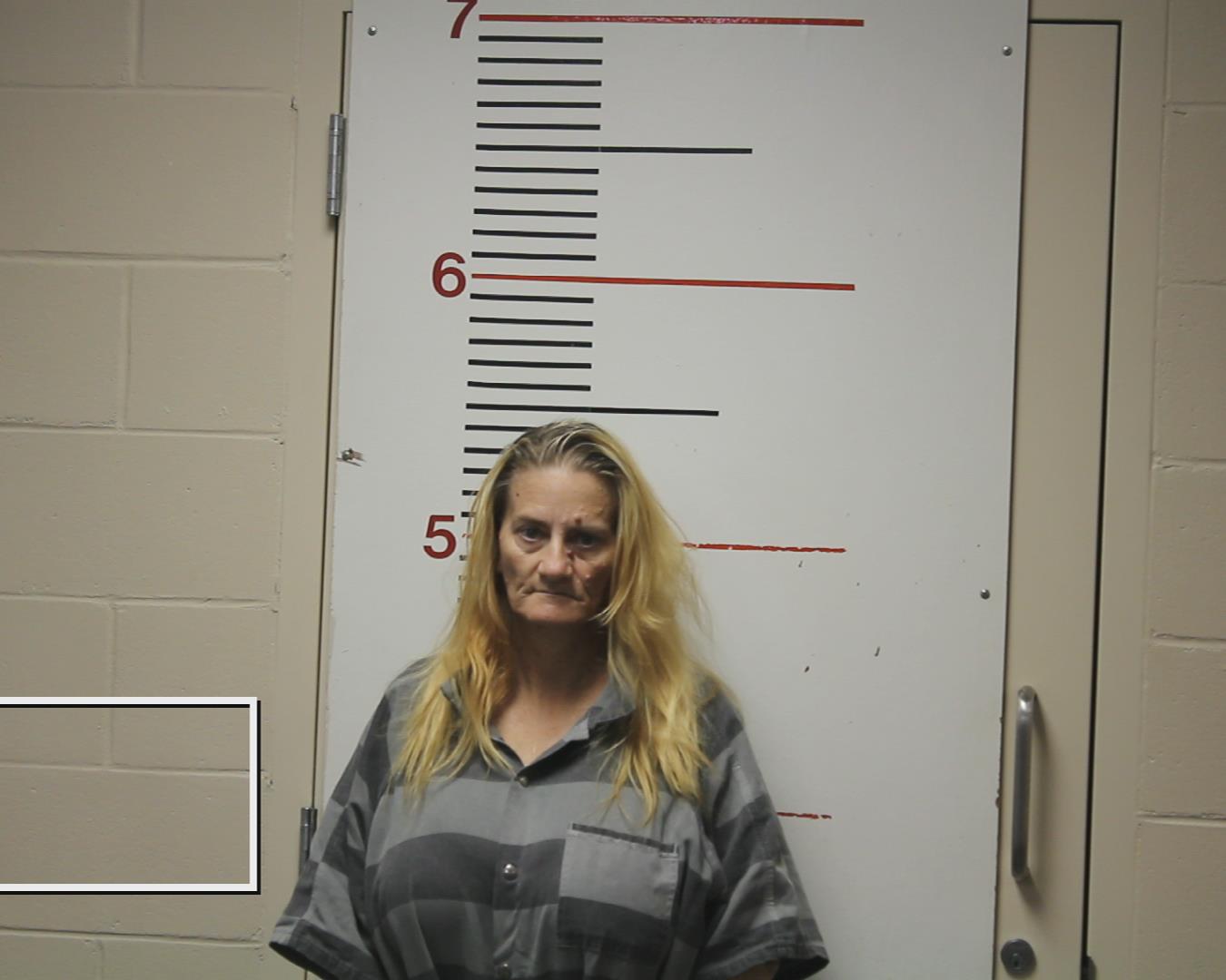 VAUGHAN, CRYSTAL DEANNE booking photo