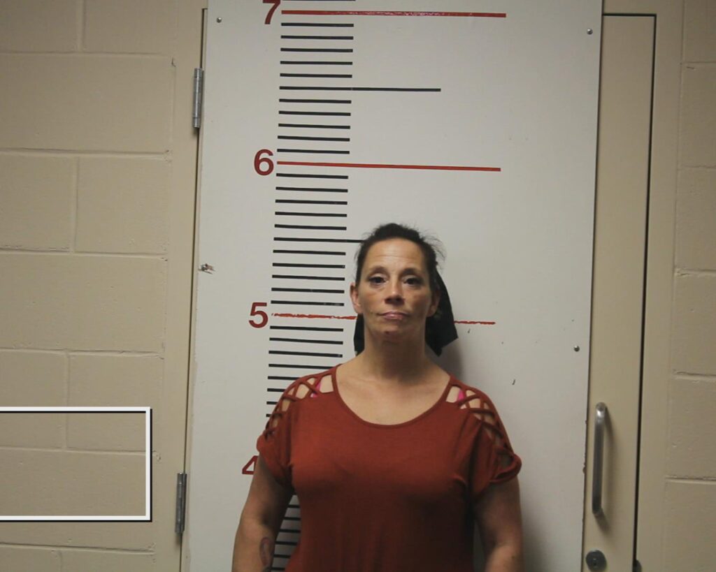 WALKER, KASEY LYNN arrested in Anderson County, Texas mugshot