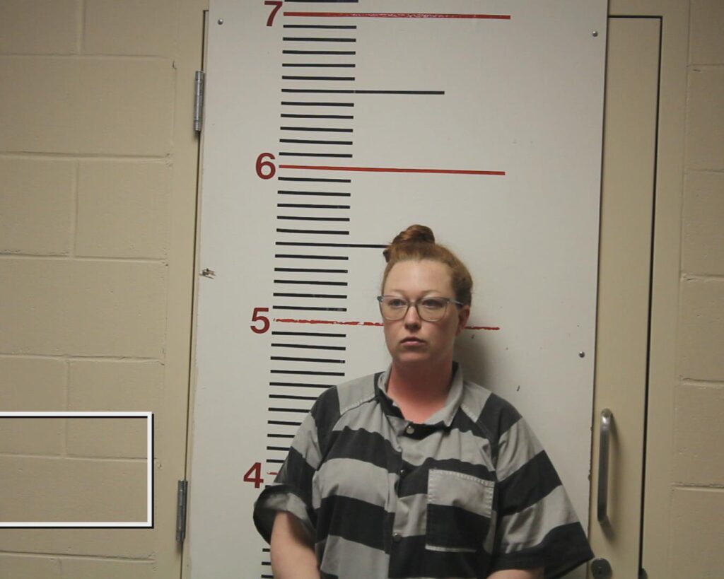 WINKS, JASMINE NICOLE arrested in Anderson County, Texas mugshot