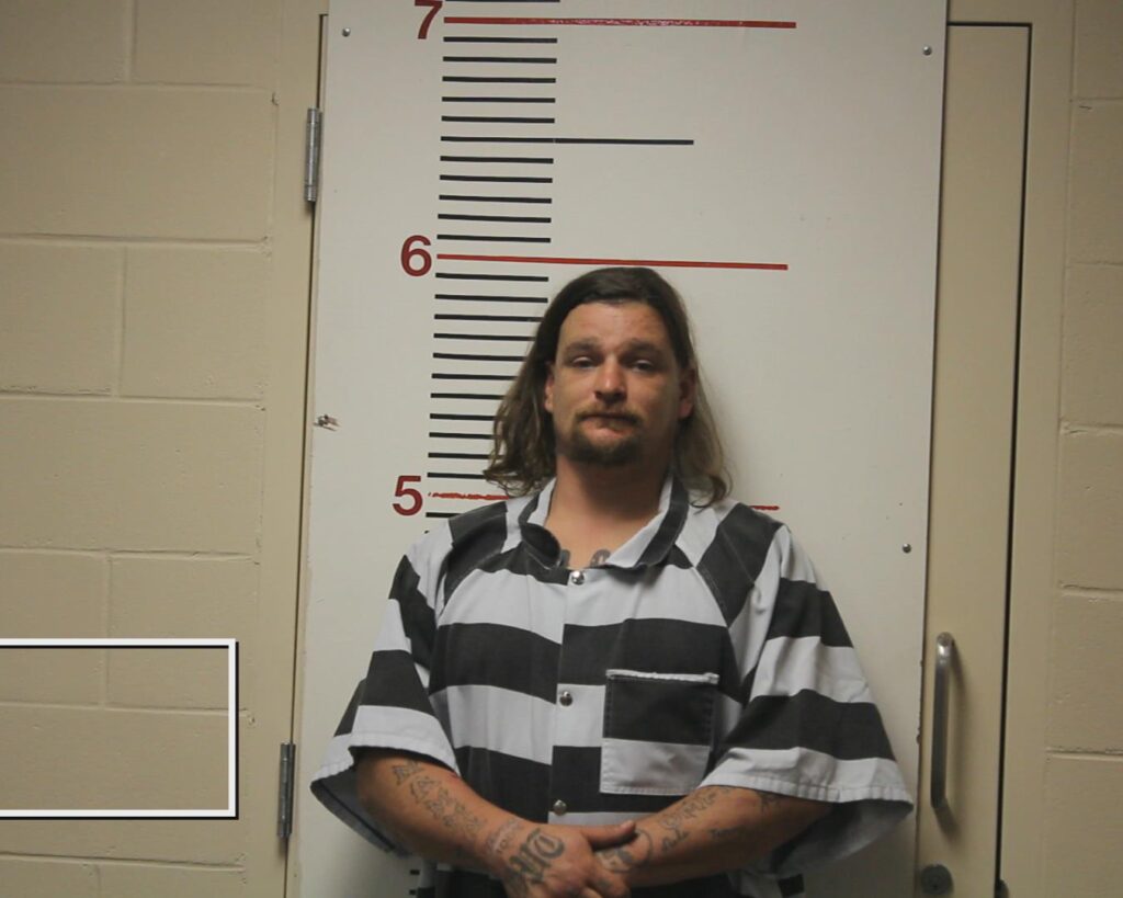 RAY, LUTHER LEE arrested in Anderson County, Texas mugshot