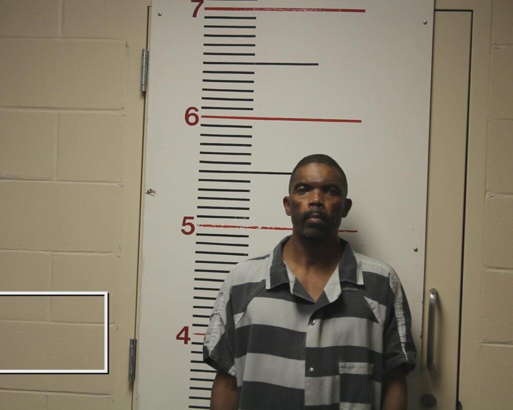 GUNNELS, DAVID LYNN arrested in Anderson County, Texas mugshot