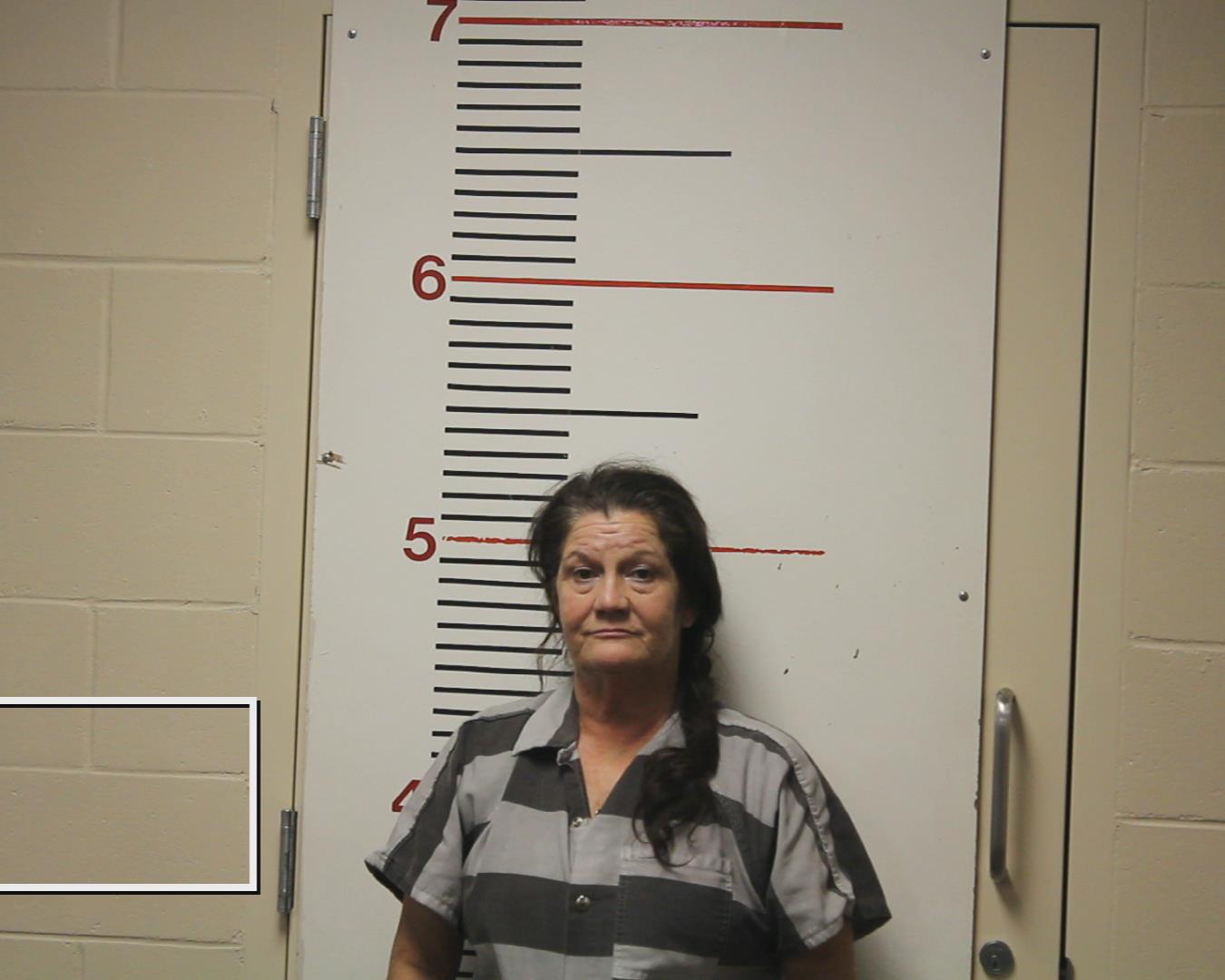 Bostick, Melinda Lee booking photo