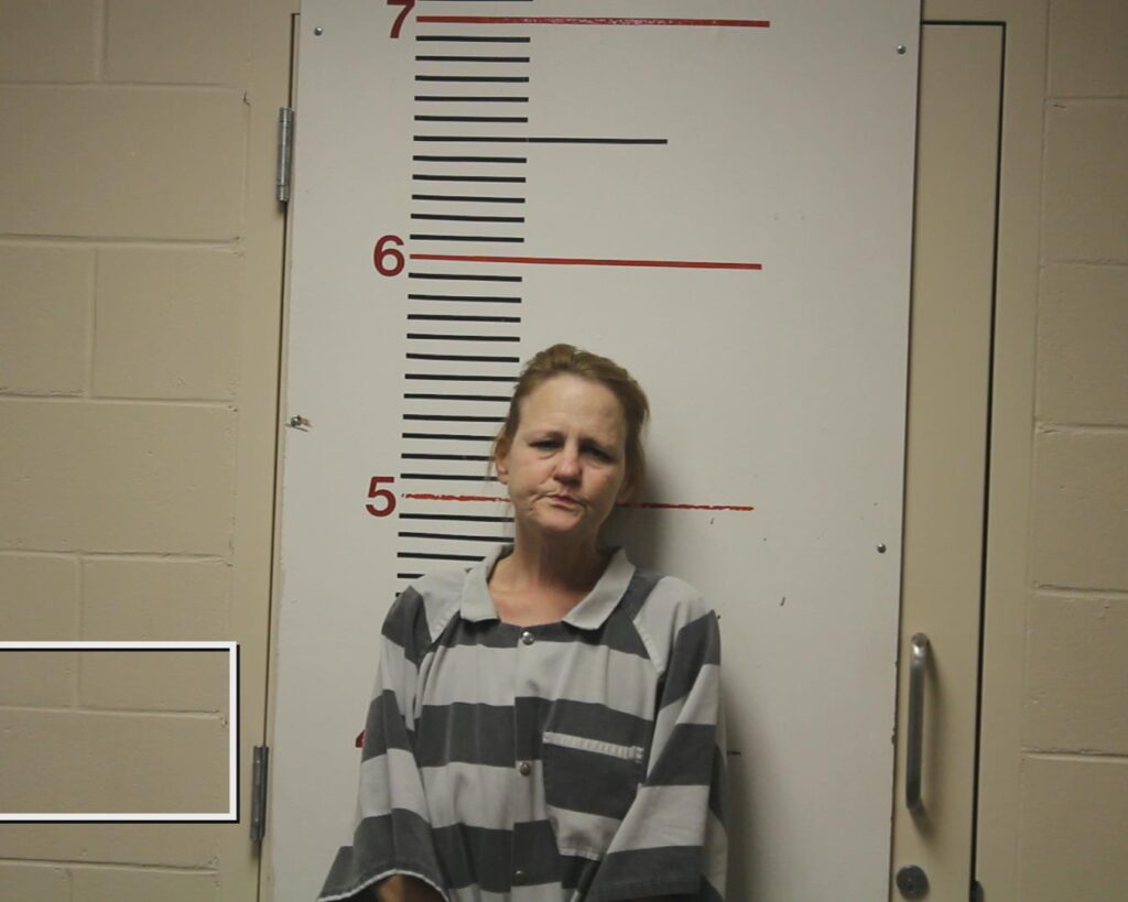 COLEMAN, ANGELA arrested in Anderson County, Texas mugshot