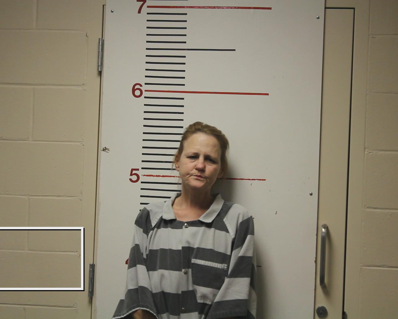 COLEMAN, ANGELA booking photo