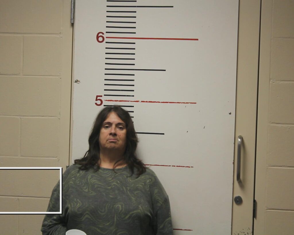 HUTCHERSON, ALISON MARIE arrested in Anderson County, Texas mugshot