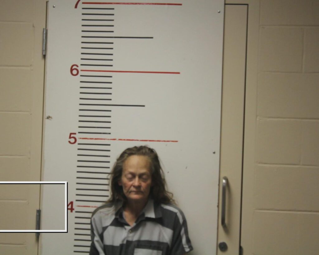 ACREE, KIMBERLY arrest record in Anderson County, Texas ACREE, KIMBERLY arrested in Anderson County, Texas mugshot