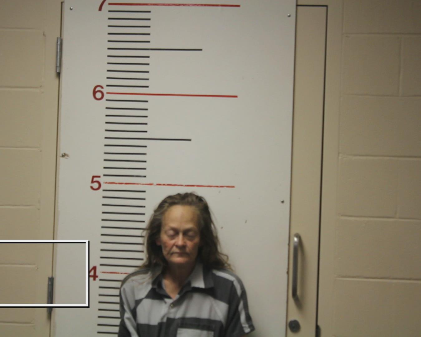 ACREE, KIMBERLY booking photo