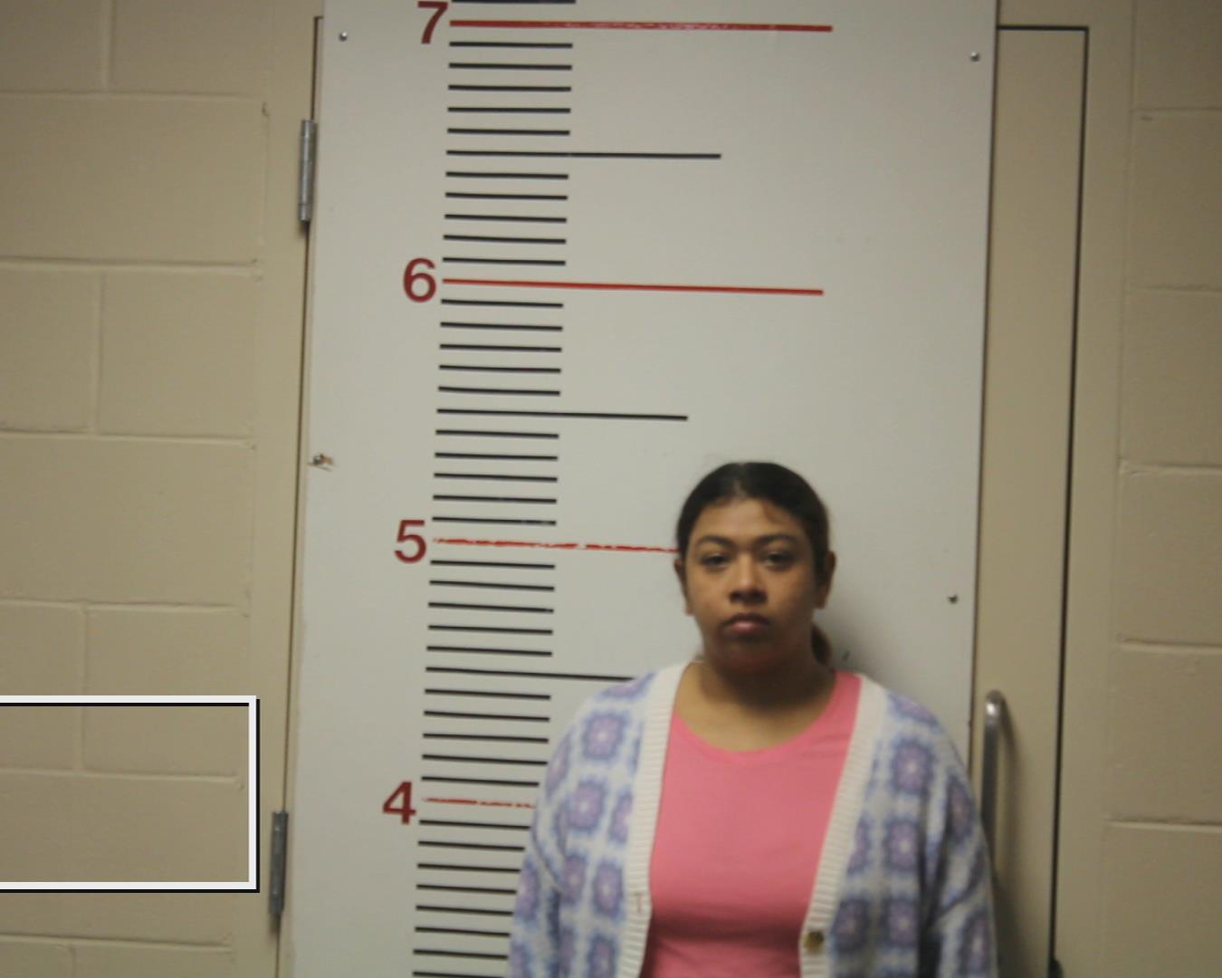 CARIAS, GABRIELA booking photo