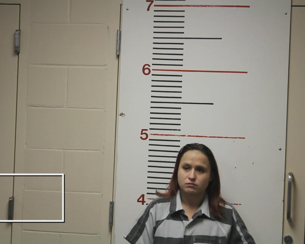 PICHARDO, ARIAN PAIGE arrest record in Anderson County, Texas PICHARDO, ARIAN PAIGE arrested in Anderson County, Texas mugshot