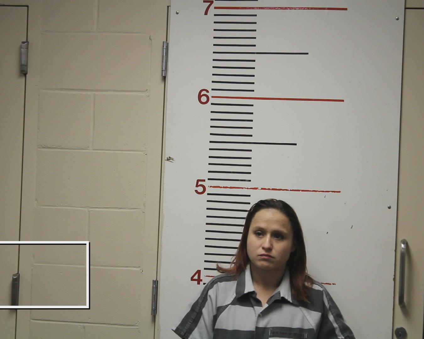 PICHARDO, ARIAN PAIGE booking photo