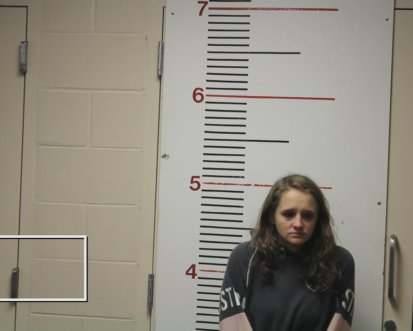 THORNTON, SARAH JOYCE booking photo