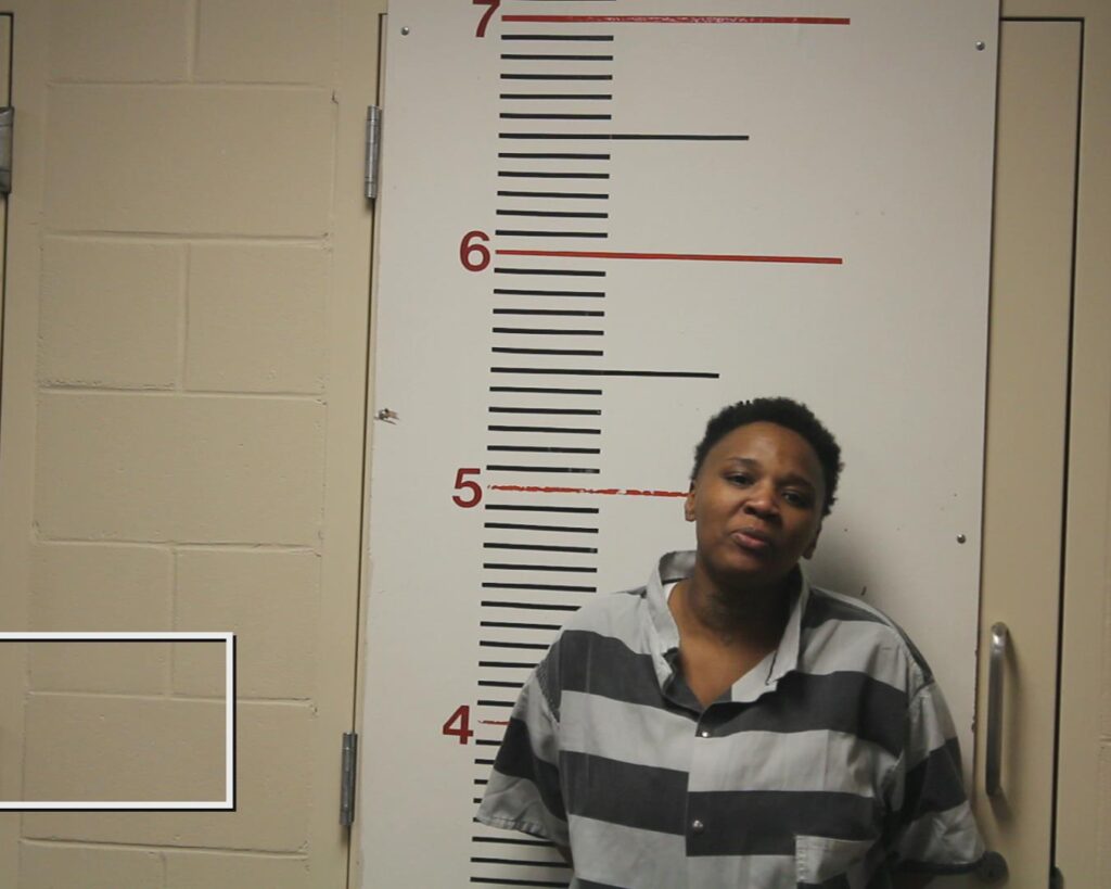 HAYES, ROCHELL LAFAYE arrest record in Anderson County, Texas HAYES, ROCHELL LAFAYE arrested in Anderson County, Texas mugshot