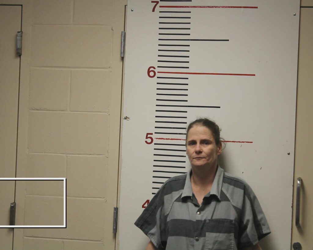 WILCOX, MISTY DAWN arrest record in Anderson County, Texas WILCOX, MISTY DAWN arrested in Anderson County, Texas mugshot