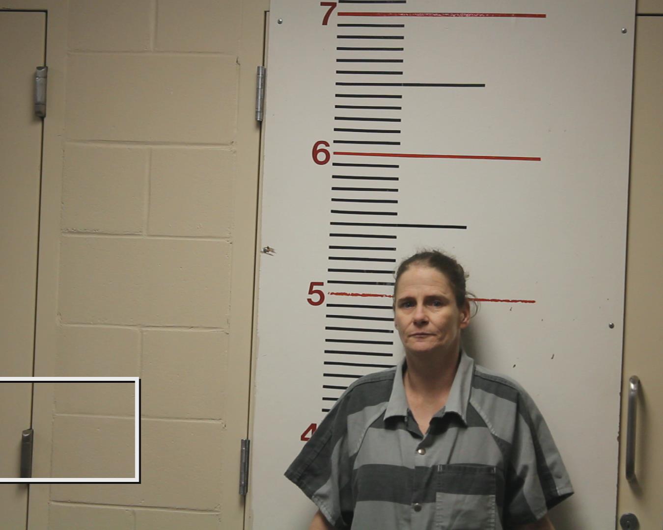 WILCOX, MISTY DAWN booking photo