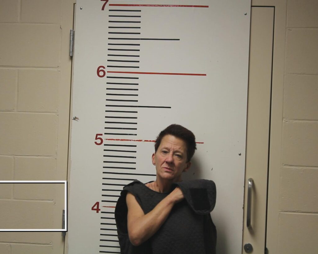 MCALLISTER, CYNTHIA JO arrest record in Anderson County, Texas MCALLISTER, CYNTHIA JO arrested in Anderson County, Texas mugshot