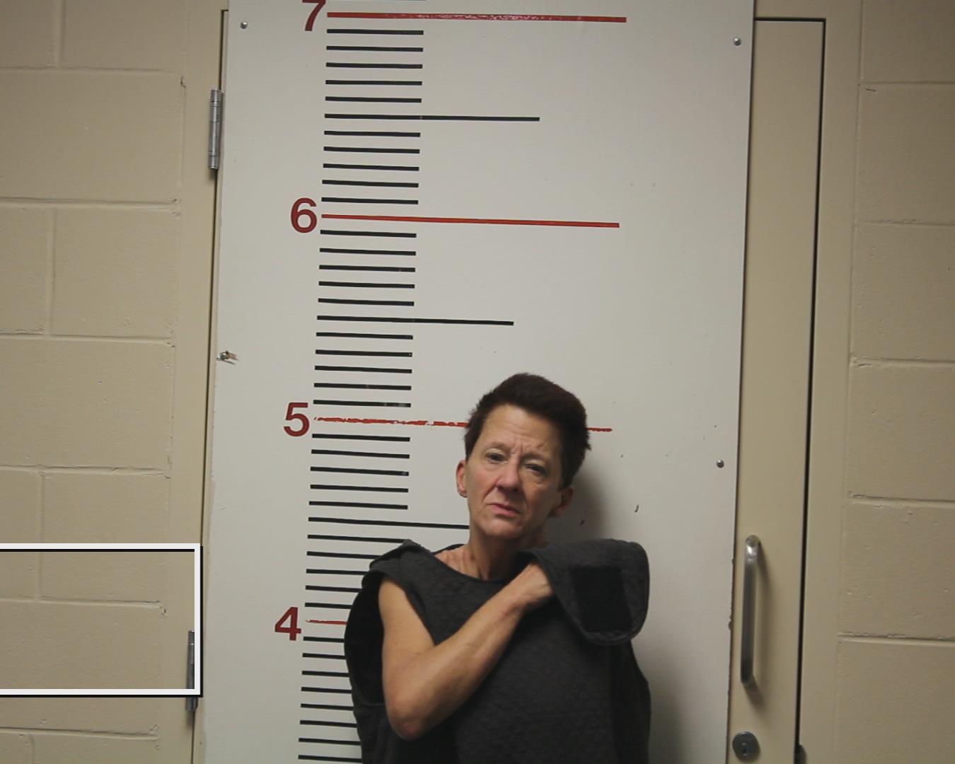 MCALLISTER, CYNTHIA JO booking photo