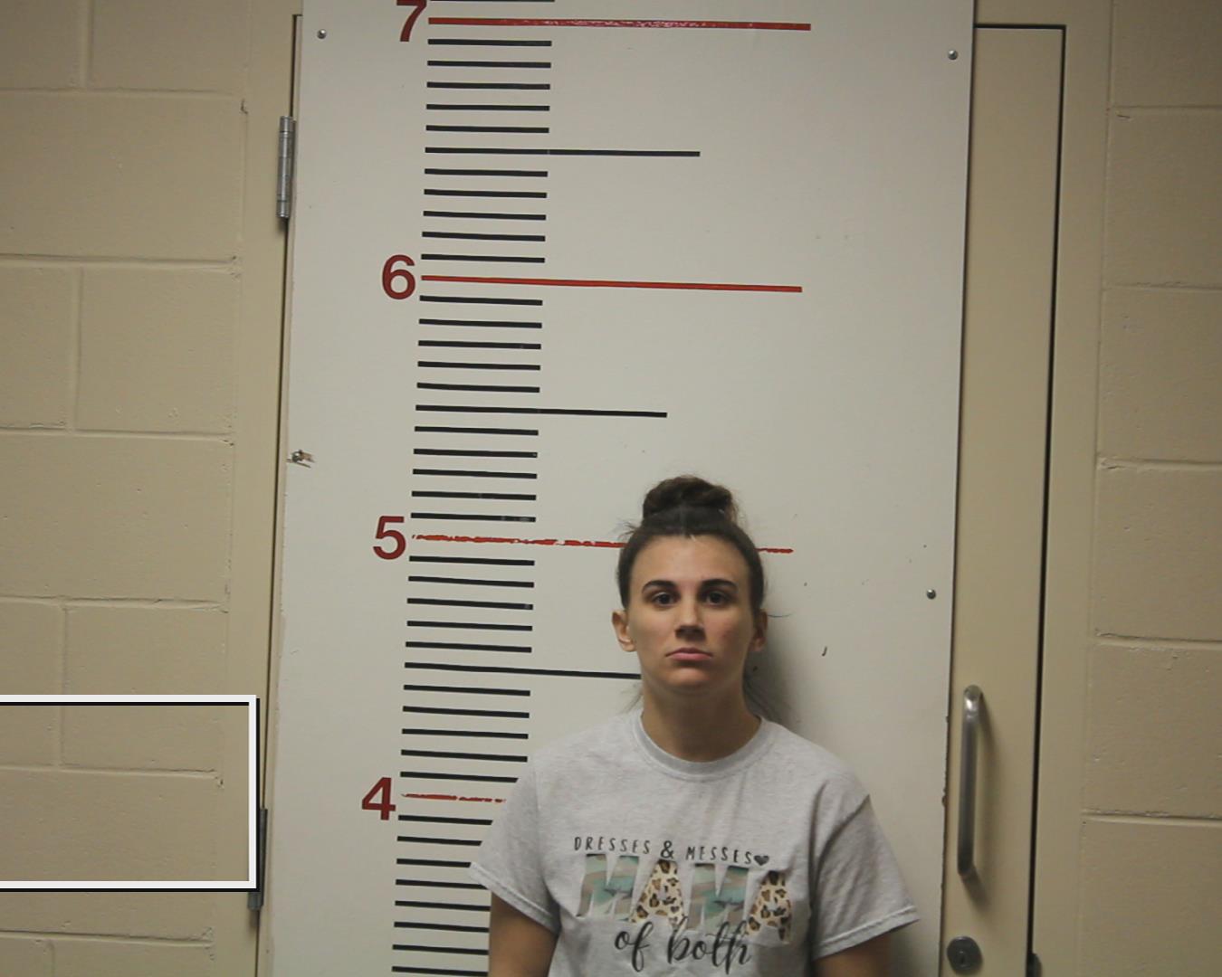FIELDS, KATI ELIZABETH booking photo
