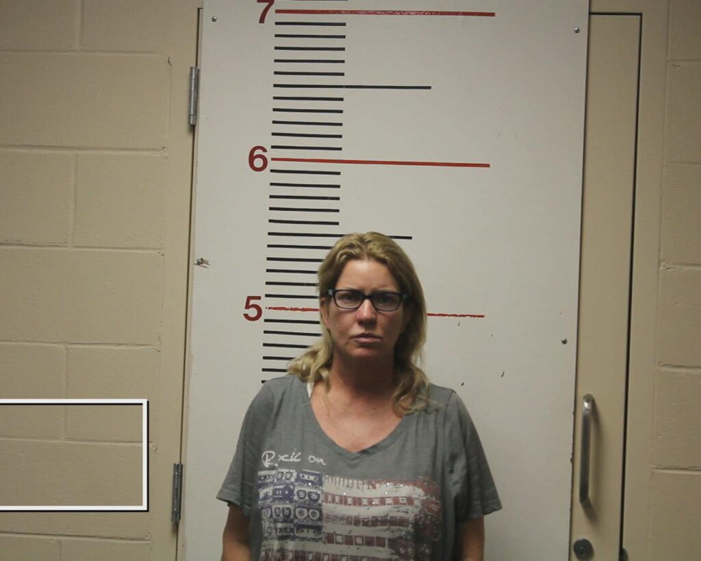 MCKARNS, SHERYL DEANN arrest record in Anderson County, Texas MCKARNS, SHERYL DEANN arrested in Anderson County, Texas mugshot