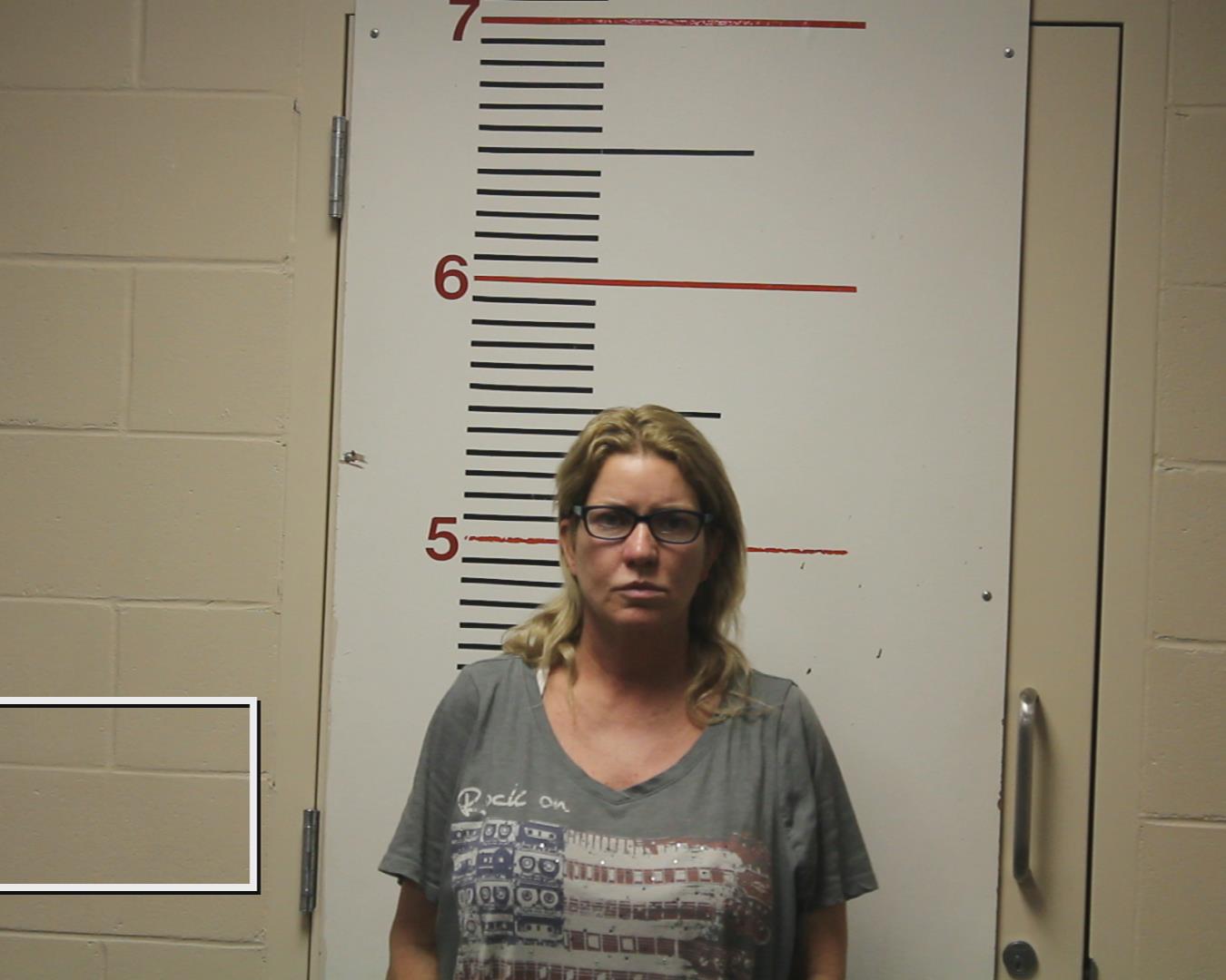 MCKARNS, SHERYL DEANN booking photo