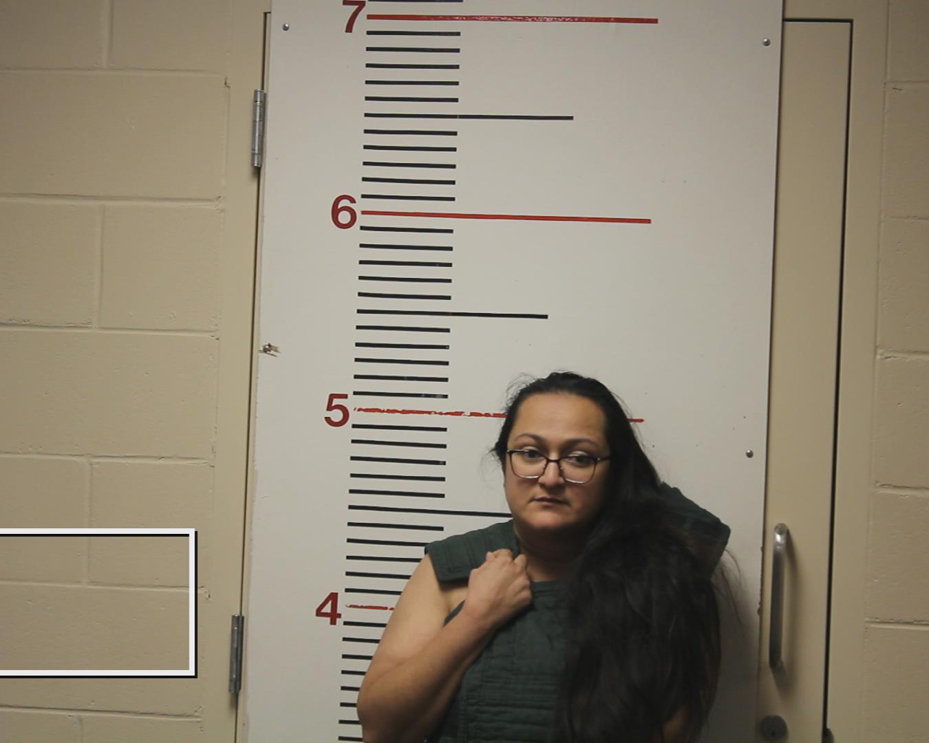 AYALA, YESENIA booking photo