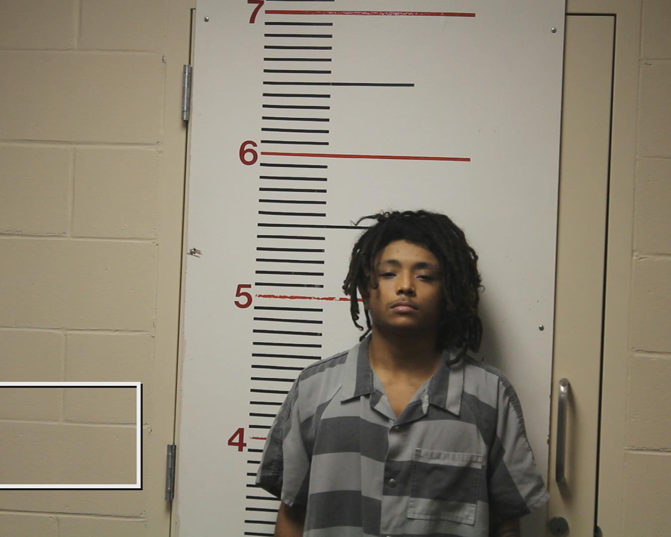 LYLES, SEDONTA booking photo