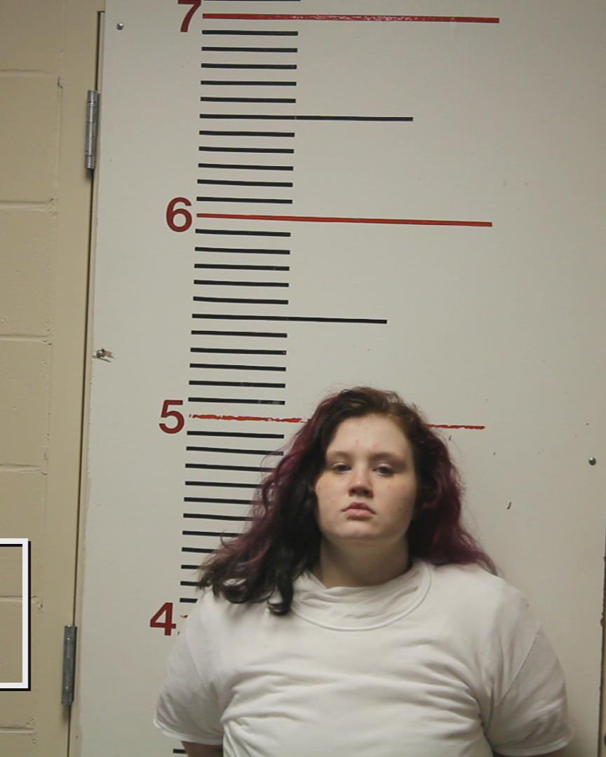 SHIPP, ERIN MICHELLE booking photo