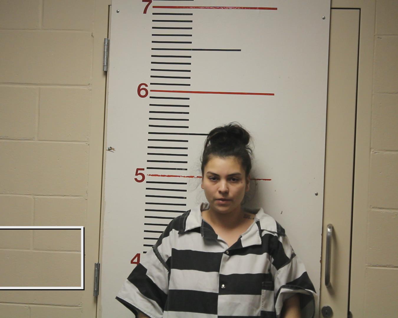 BERRIOS, VERONICA YASMIN booking photo