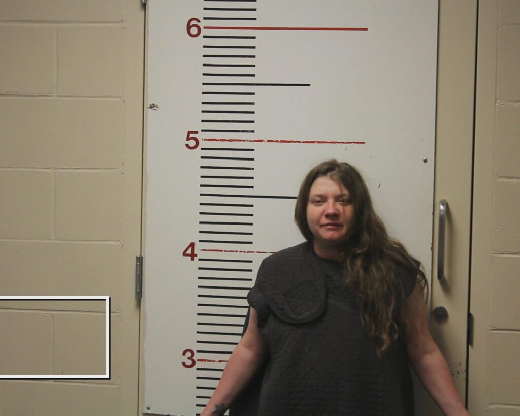 CRANE, LEANNA GRACE booking photo