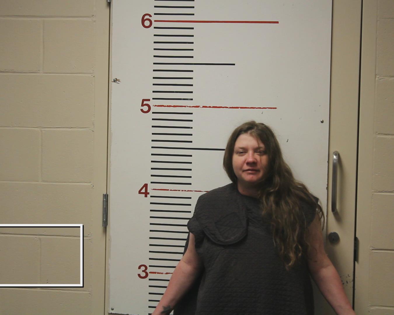 CRANE, LEANNA GRACE booking photo