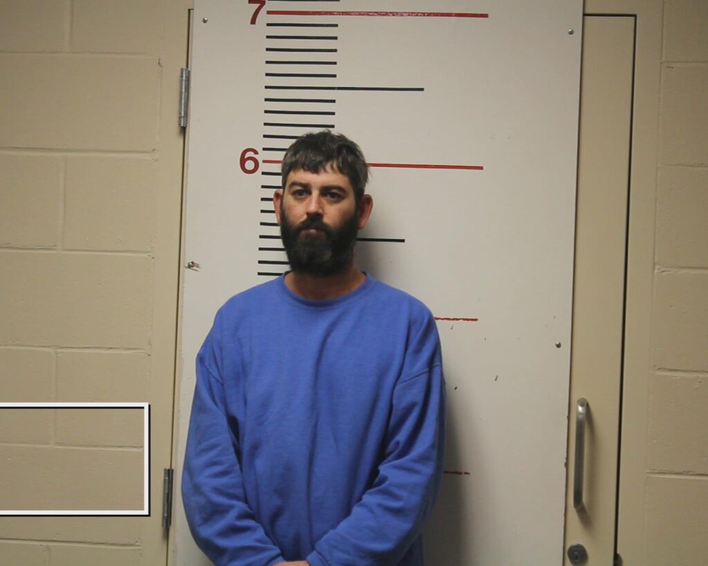 SOWELL, JAMES ALVIS booking photo