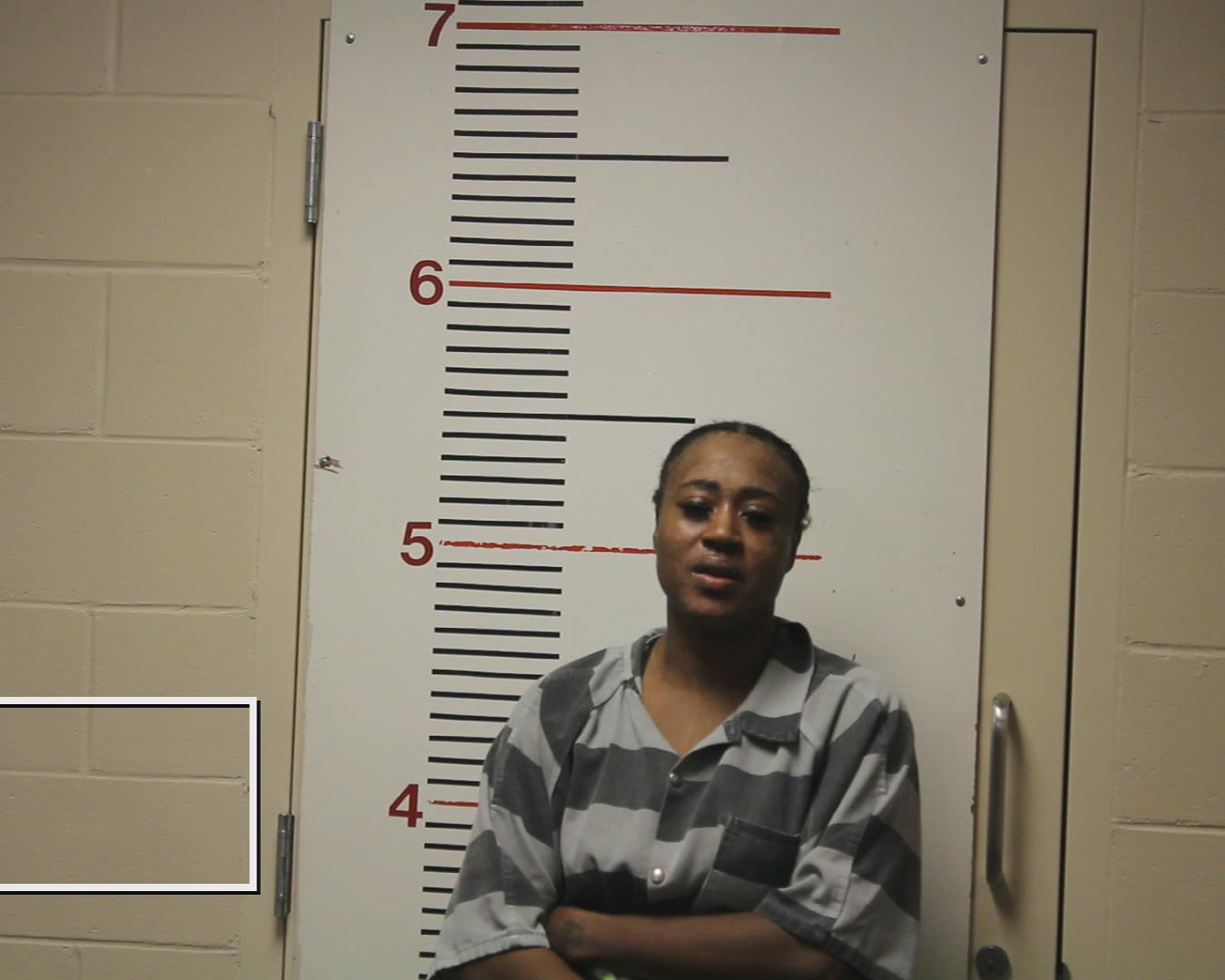 WALKER, CHRISTINA TONEKA booking photo