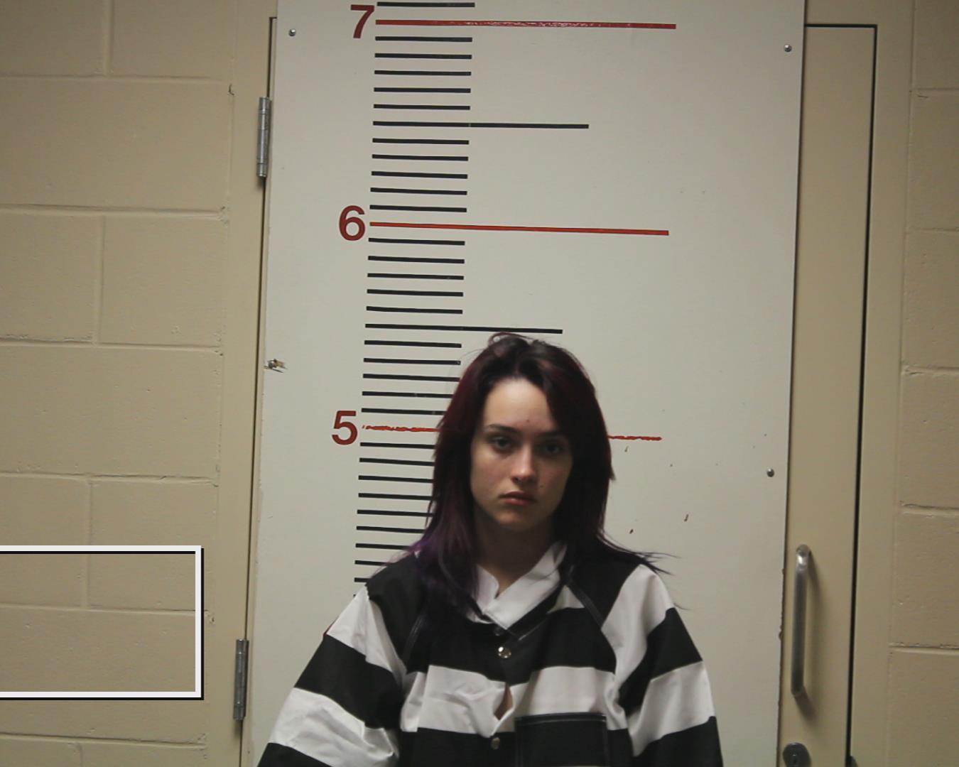 TOUDOZE, SUSSANAH ALAINE booking photo