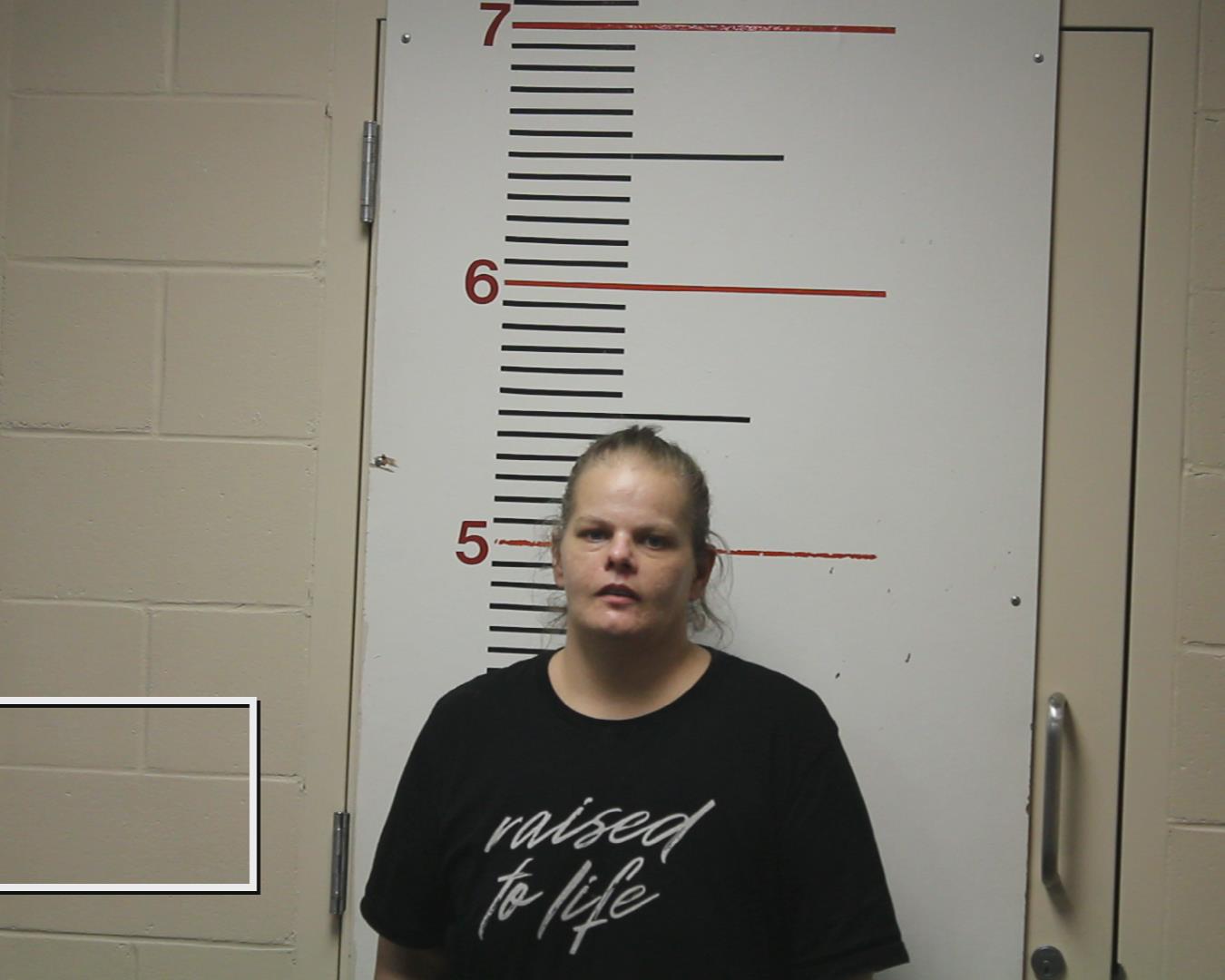 KENNEDY, CRYSTAL GAIL booking photo