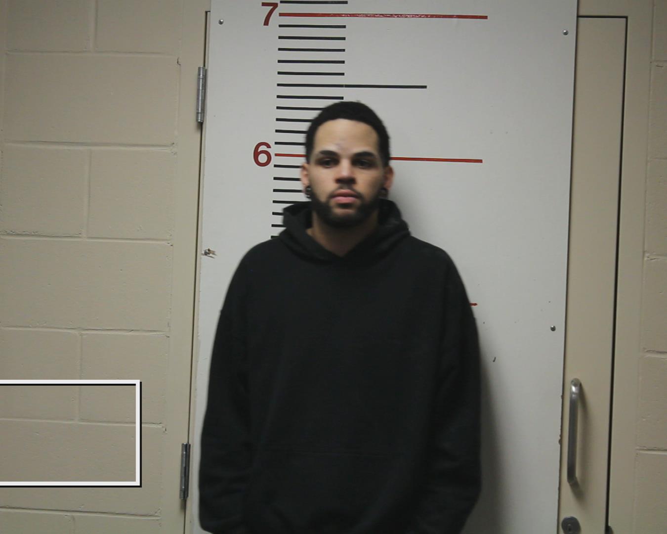 BLACKSHEAR, TYE DEVOL booking photo