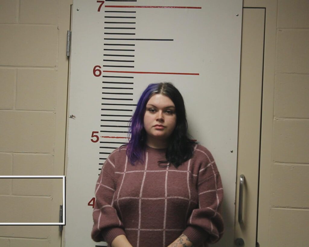 ANDERSON, TAWNY ELISE booking photo