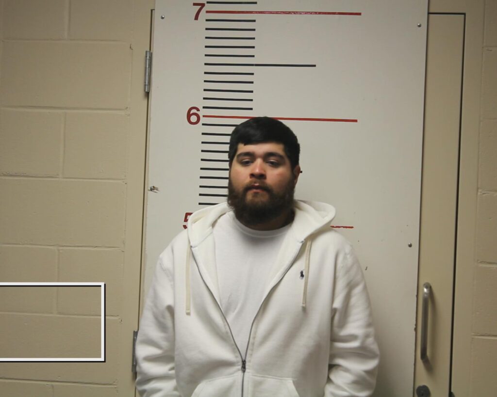 LEANDRO, CARLOS ENRIQUE booking photo