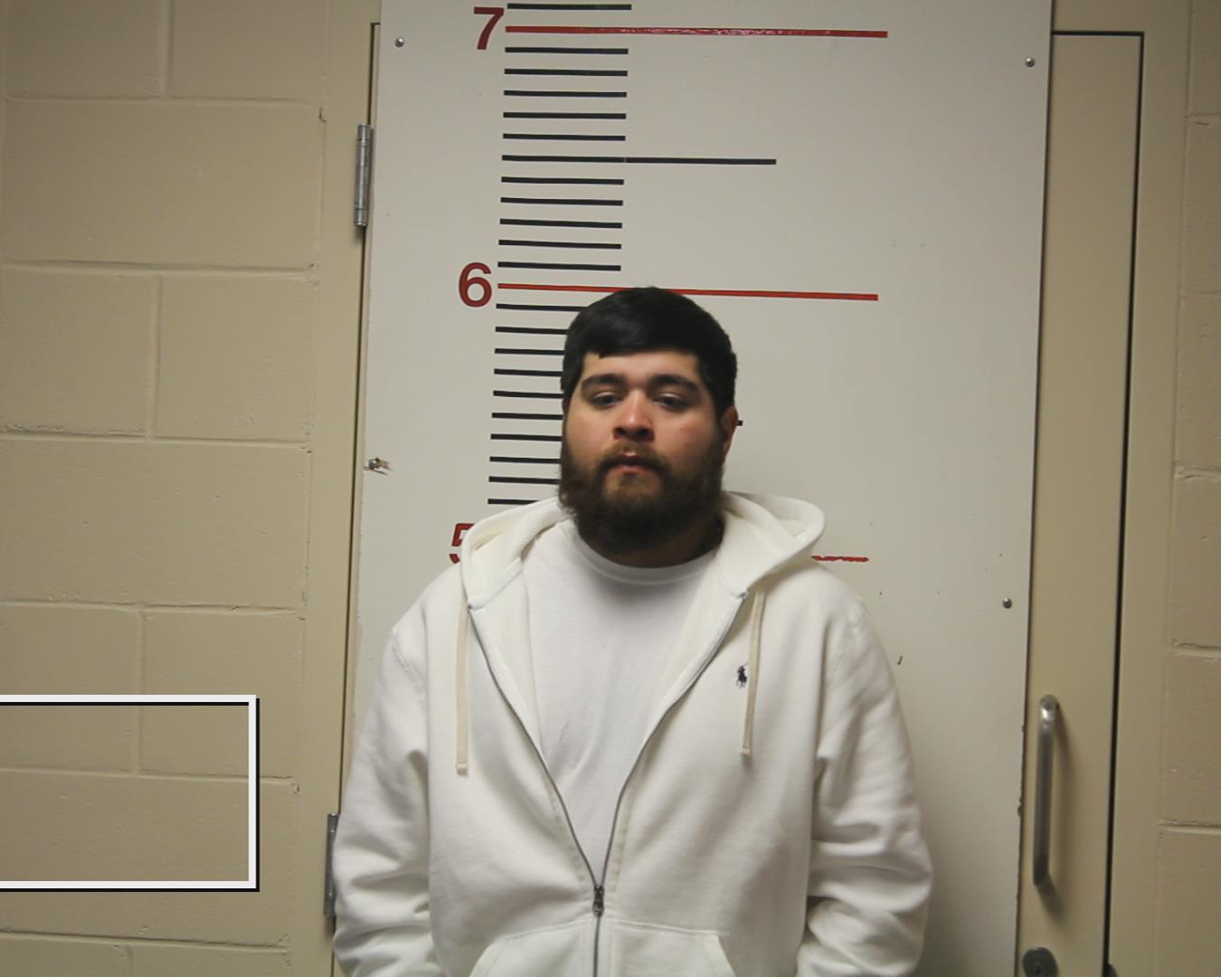 LEANDRO, CARLOS ENRIQUE booking photo