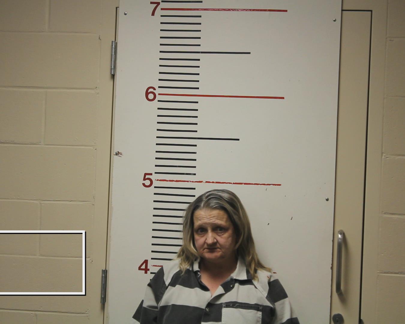 HART, ANN MAXINE booking photo