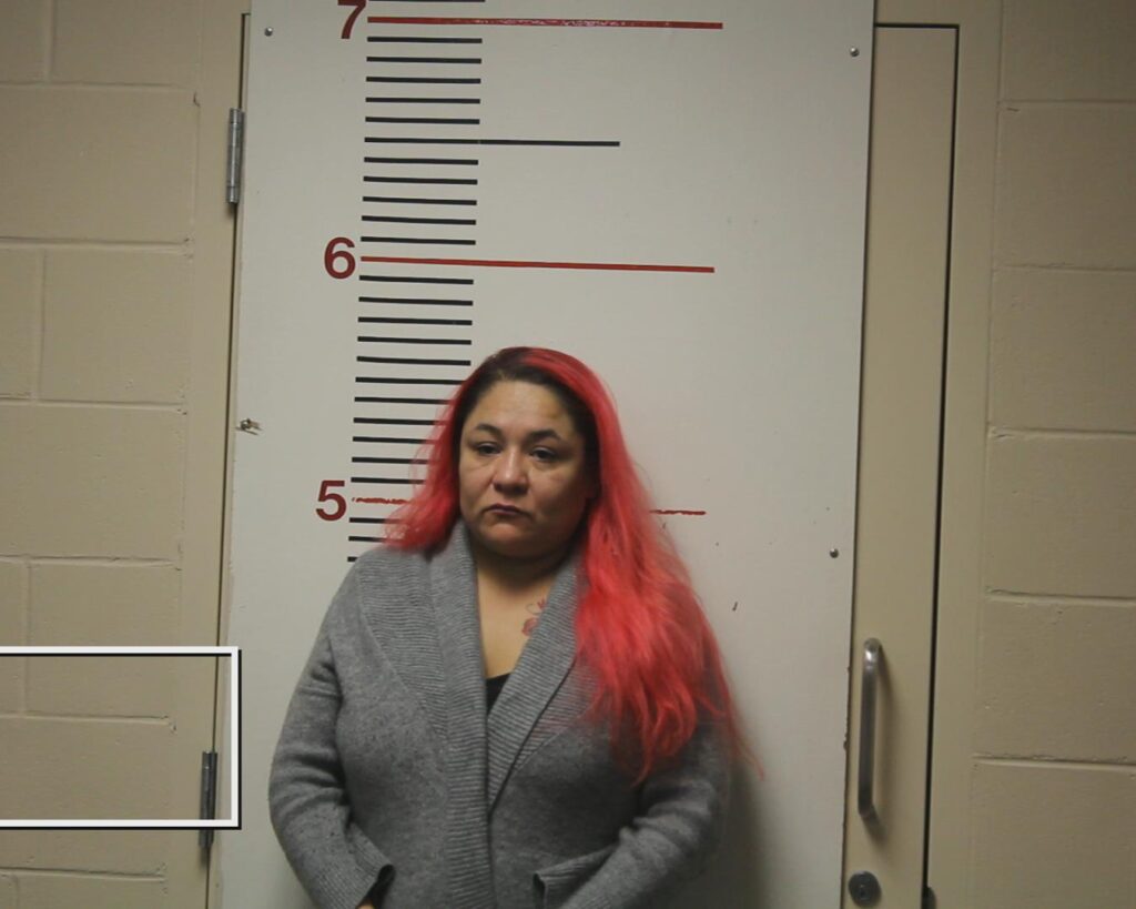 MUNGIA, MELISSA booking photo