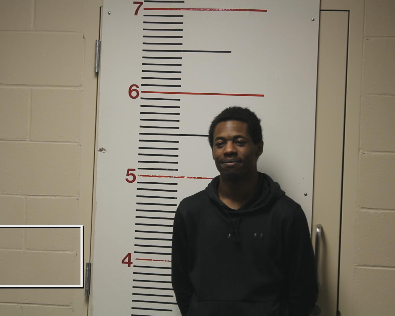 PURVIS, DERRICK DESHAWN booking photo