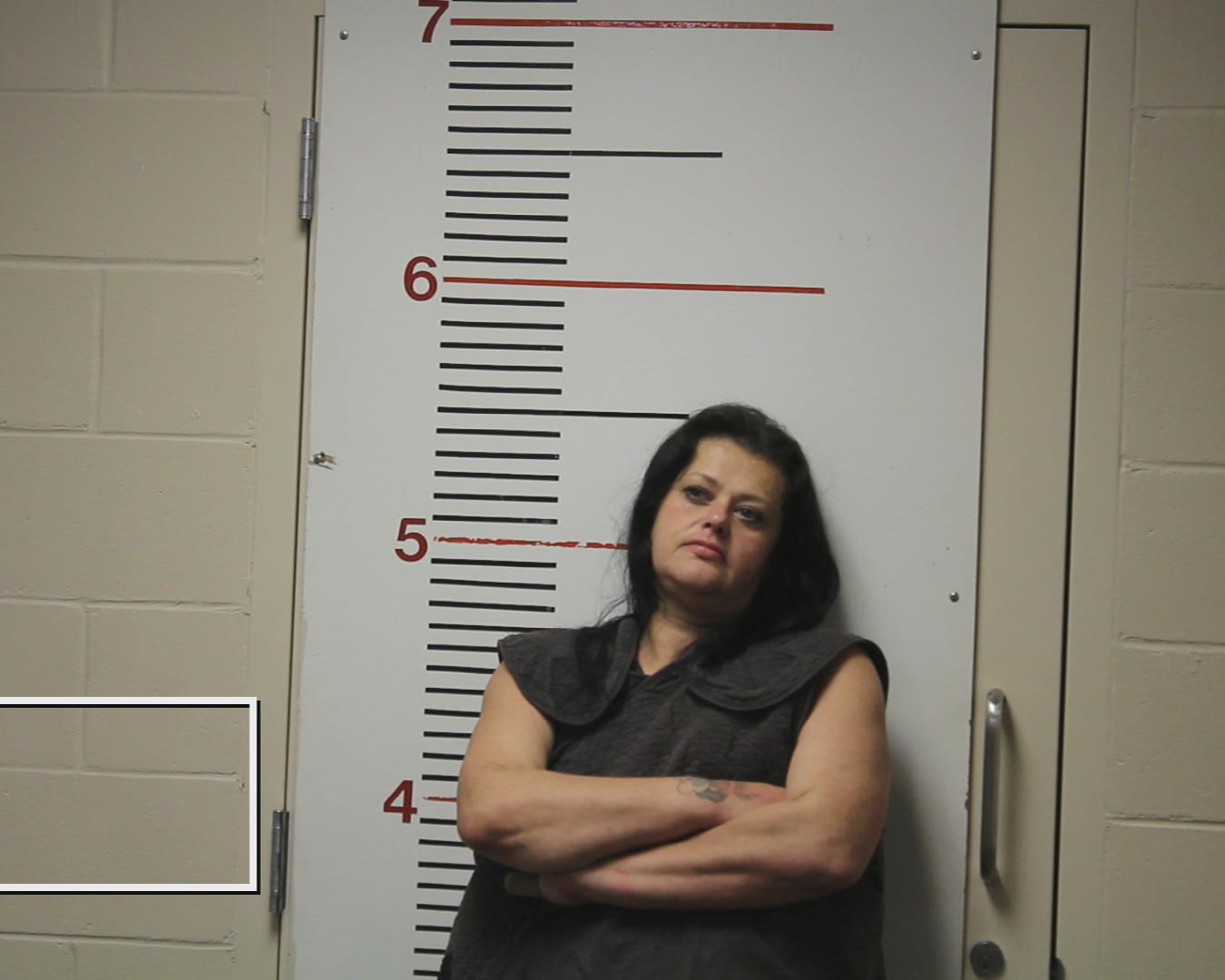 MARTINEZ, AMANDA LANEIA booking photo