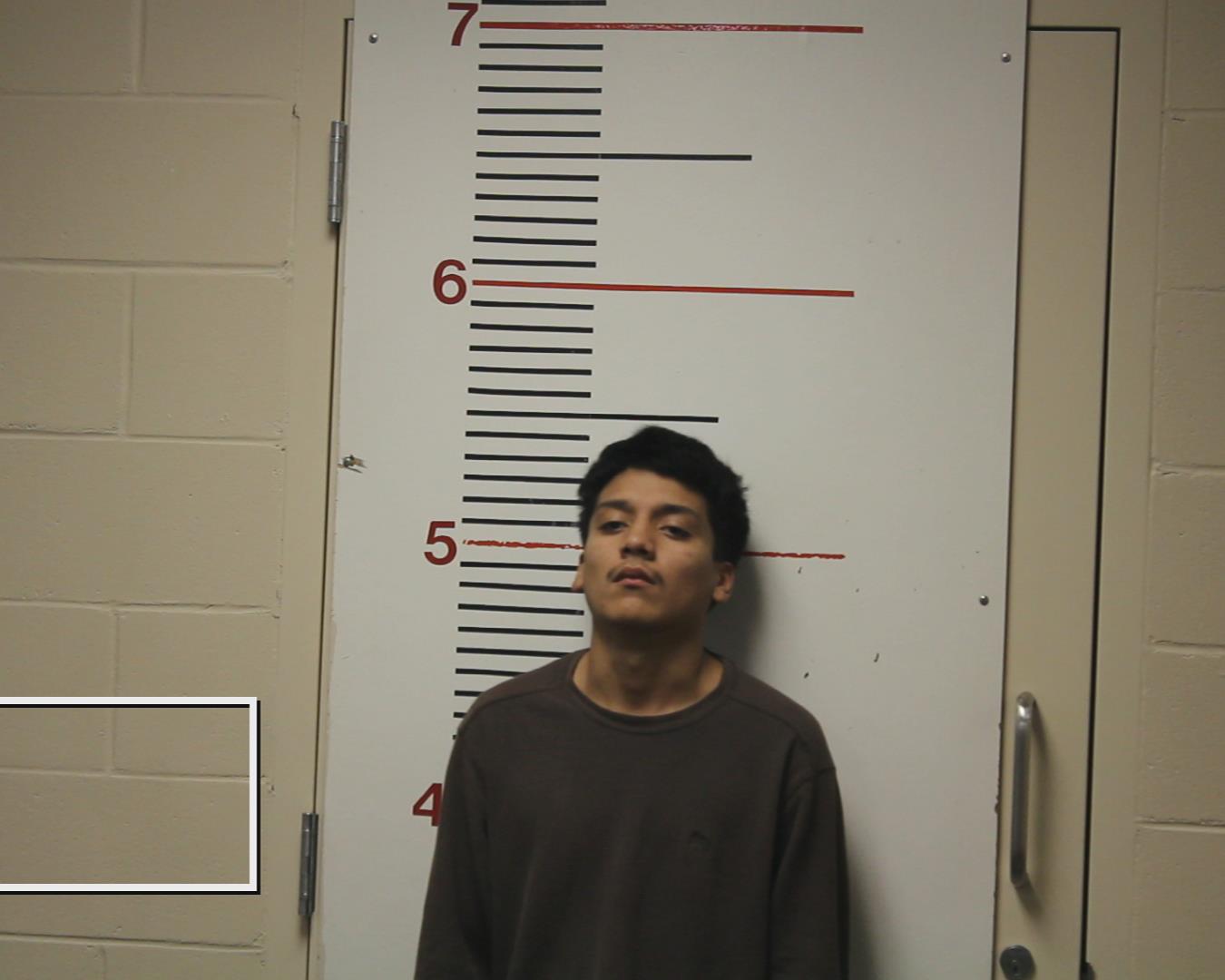 CUEVAS, RICARDO booking photo