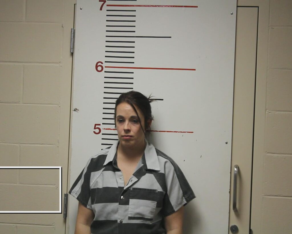STERNS, DASA NICOLE booking photo