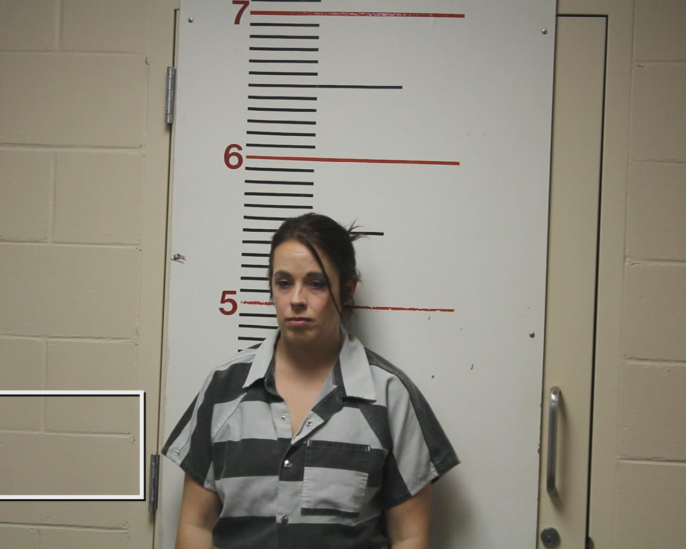 STERNS, DASA NICOLE booking photo